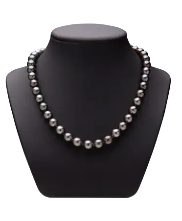 TAHITIAN PEARL CHOKER NECKLACE - LARGE BLACK PEARLS - AA+ LUSTER - AA NACRE SURFACE